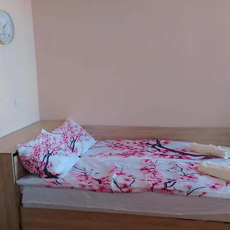 студио свежест *