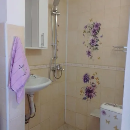 студио свежест