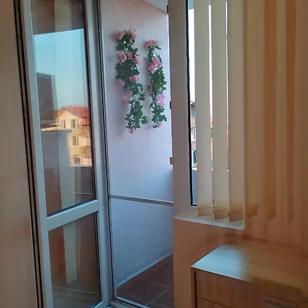 студио свежест