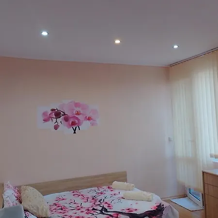 Apartment студио свежест